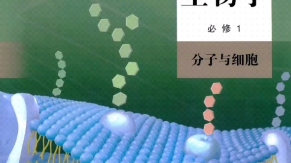 高中生物必修一 分子与细胞——专题一 第2讲细胞的多样性和统一性.哔哩哔哩bilibili