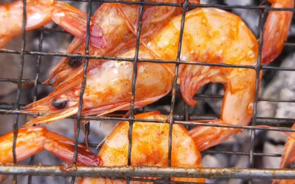 碳烤河虾_哔哩哔哩 (゜-゜)つロ 干杯~-bilibili