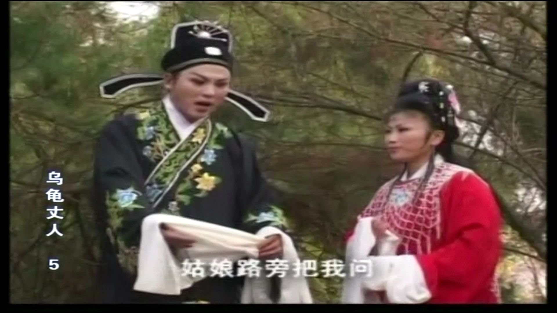 庐剧 乌龟丈人