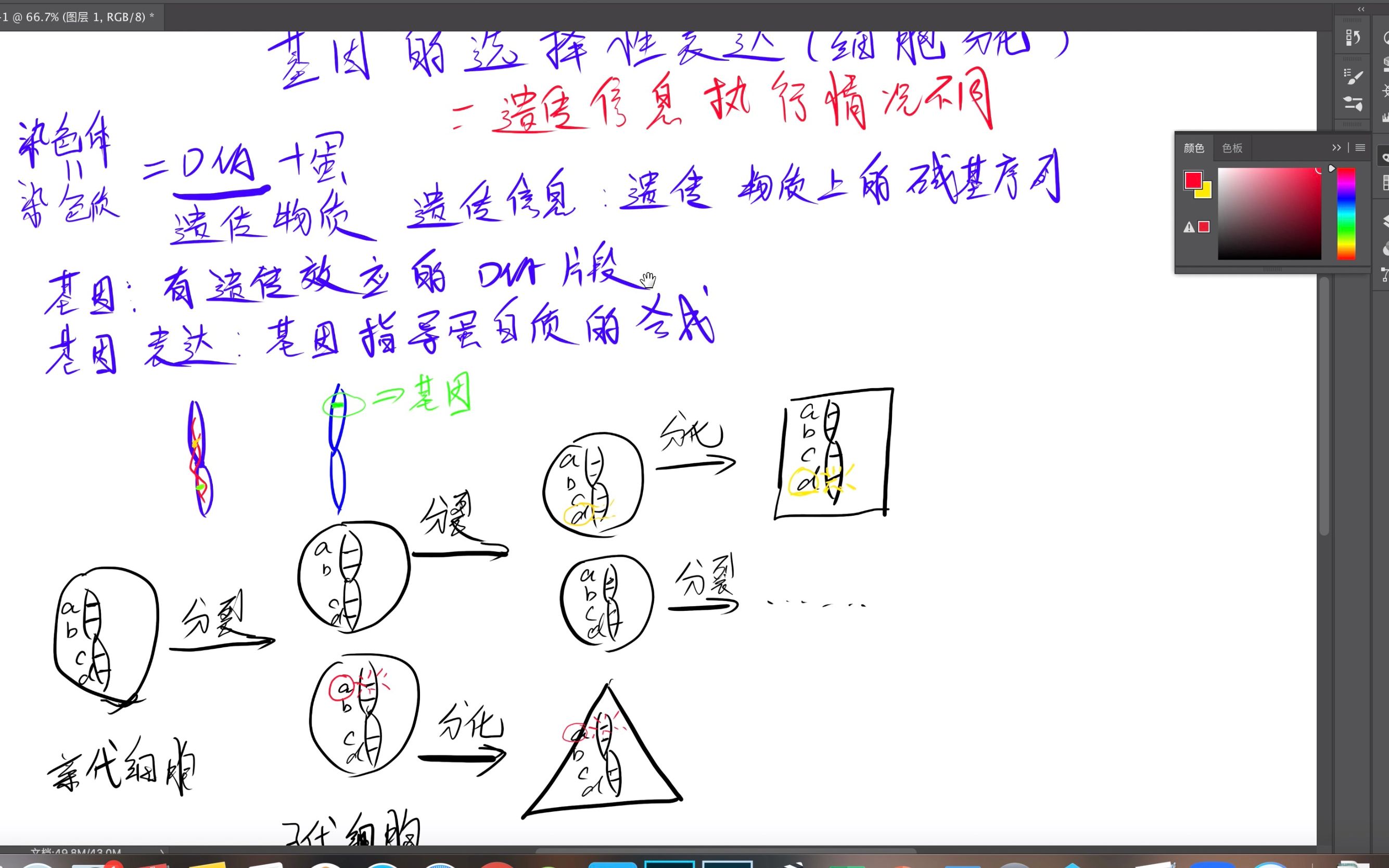 基因的选择性表达哔哩哔哩bilibili