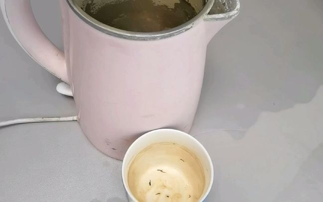 茶杯茶垢水壶水垢清洗哔哩哔哩bilibili