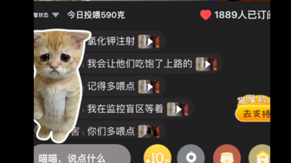 街猫tv之逆天口嗨!哔哩哔哩bilibili