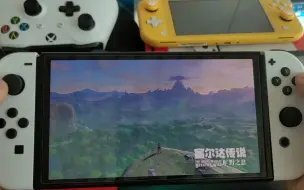 Download Video: 第一次用oled版switch玩塞尔达旷野之息，这画面真的太美了!