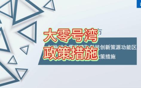 上海市关于加快“大零号湾”科技创新策源功能区建设的若干政策措施二哔哩哔哩bilibili