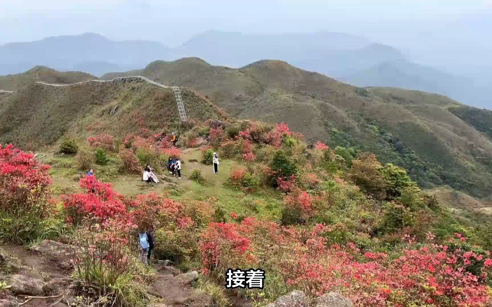 广东省云浮市旅游景点介绍,广东省云浮市热门景点哔哩哔哩bilibili