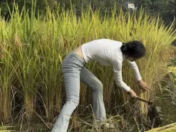 Descargar video: 长得漂亮身材好，还是要靠实力吃饭，这就是农村女孩子