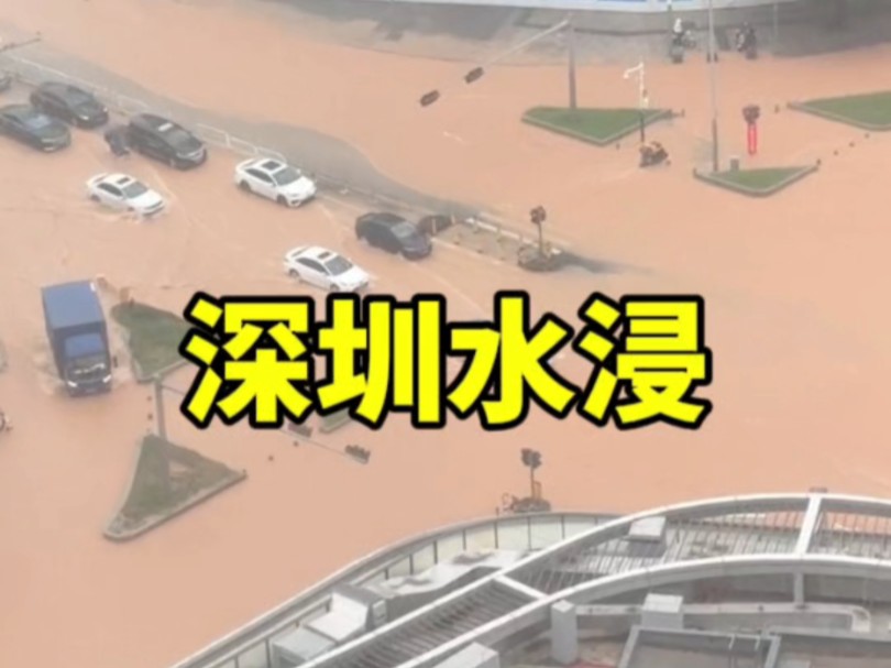 暴雨红色预警!深圳多处道路因暴雨水浸【8.15日】哔哩哔哩bilibili