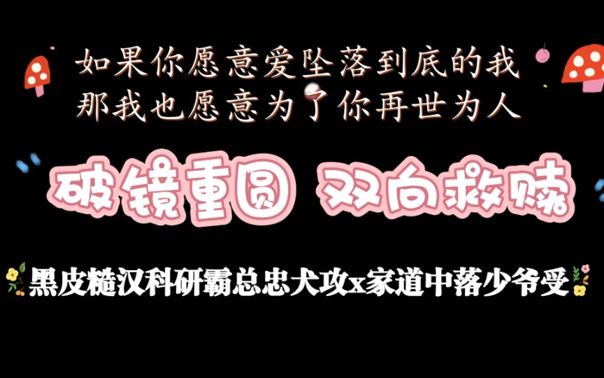 [图]【纯爱】《二手情书》/如果你愿意爱坠落到底的我，那我也愿意为了你再世为人。/现代破镜重圆双向救赎小甜文