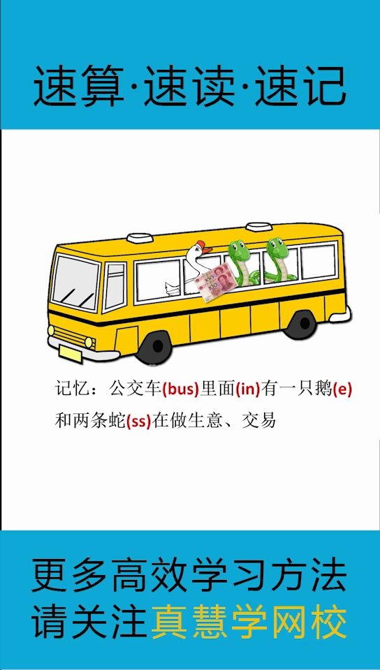 单词:business,你是怎样记忆的,真慧学超级记忆bus(公交车)in(里面)e(一只鹅)ss(两条蛇)在做交易哔哩哔哩bilibili