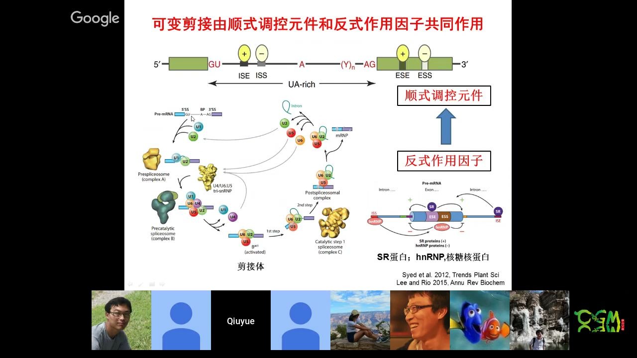 CGM第五十八期:陈秋月博士《玉米可变剪接变异研究》哔哩哔哩bilibili