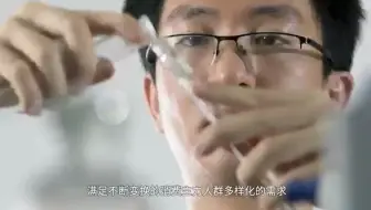 蓝凌快消品研发项目管理方案
