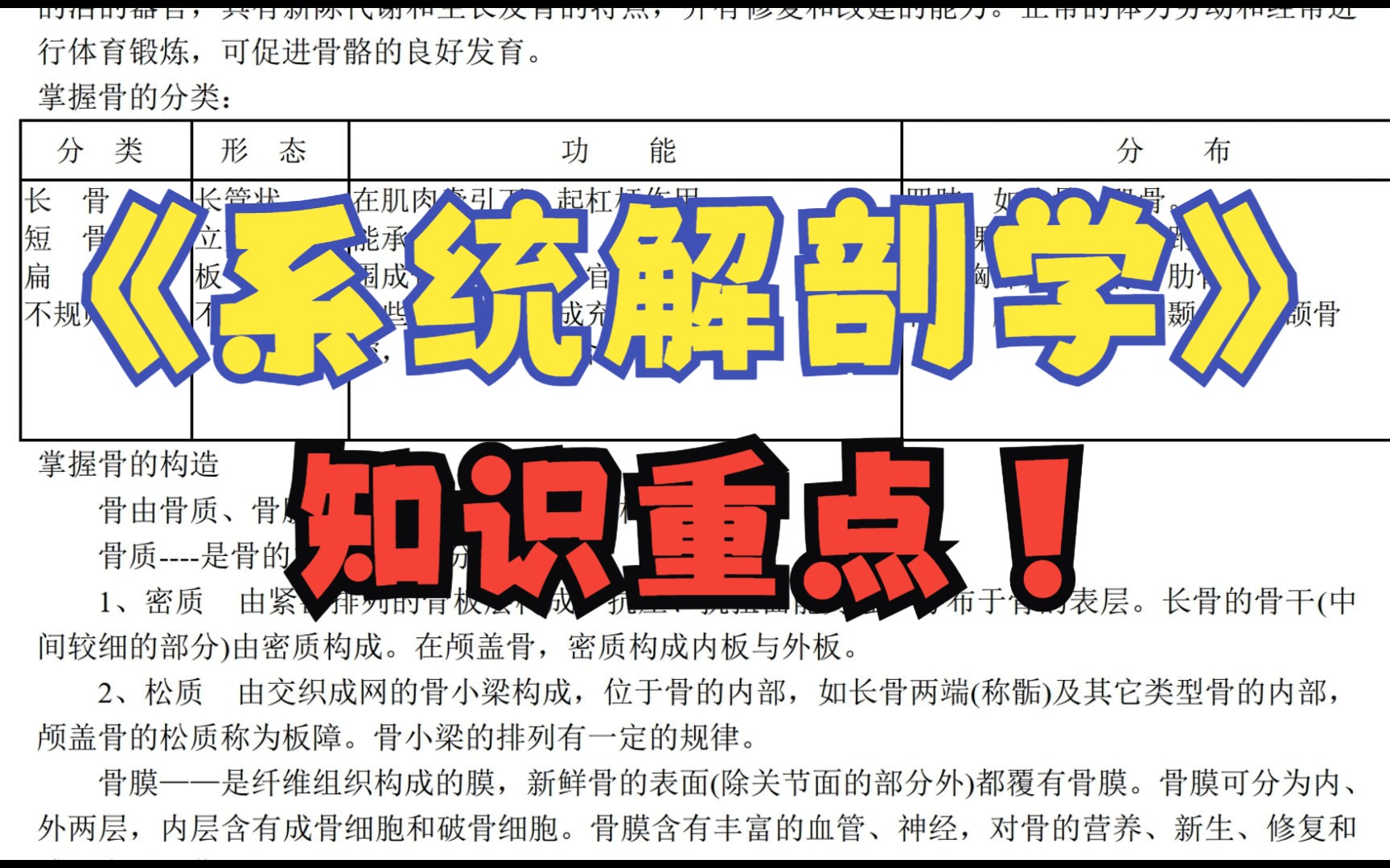 《系统解剖学》知识重点总结 笔记 试题及答案,这些资料让你学习更