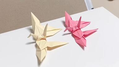 紙ヒコーキ博物館Paper airplane museum_哔哩哔哩_bilibili