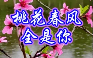 Download Video: 情歌对唱《桃花春风全是你》