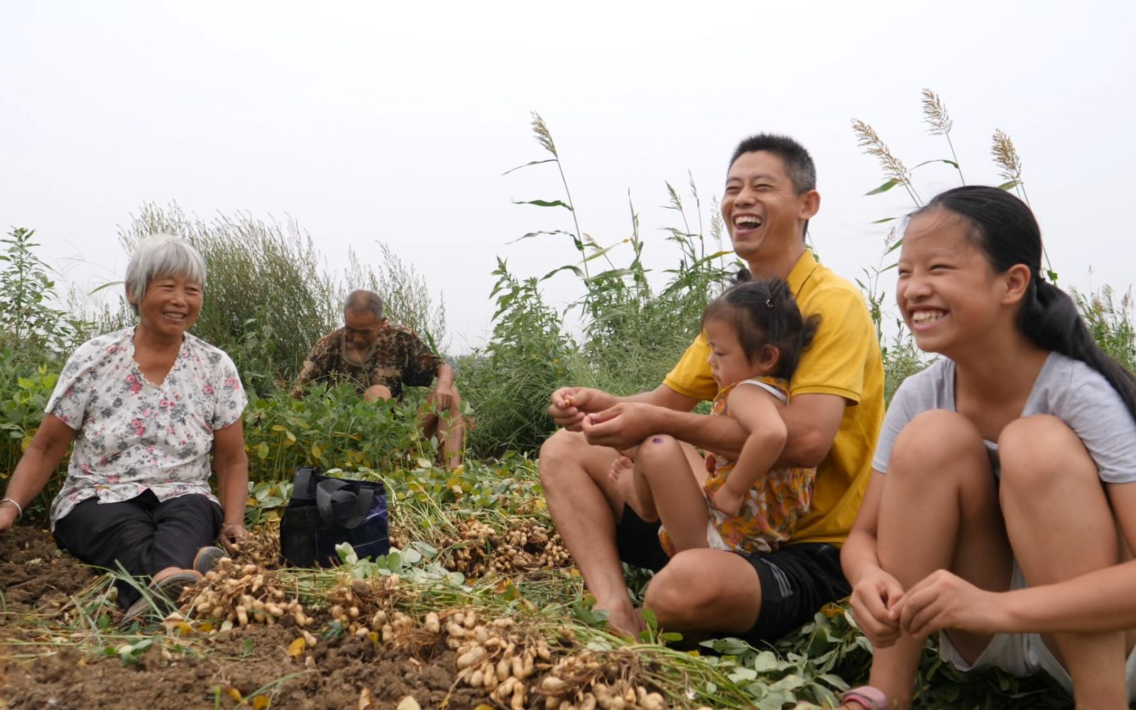 [图]儿子心疼老妈薅花生辛苦，老妈的回答很正点，连孩子都笑了