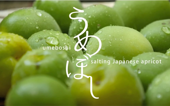 自制梅干的制作方法【日】
