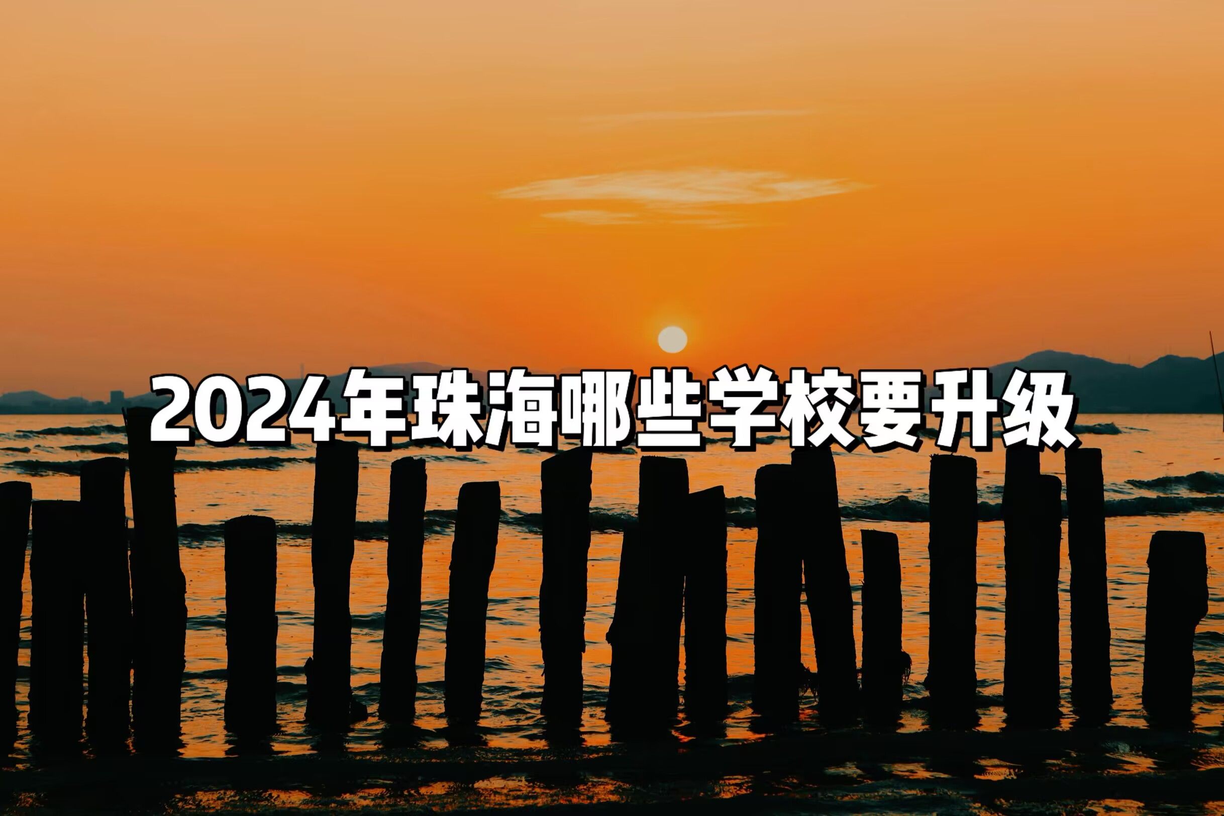 2024年珠海哪些学校要升级?哔哩哔哩bilibili