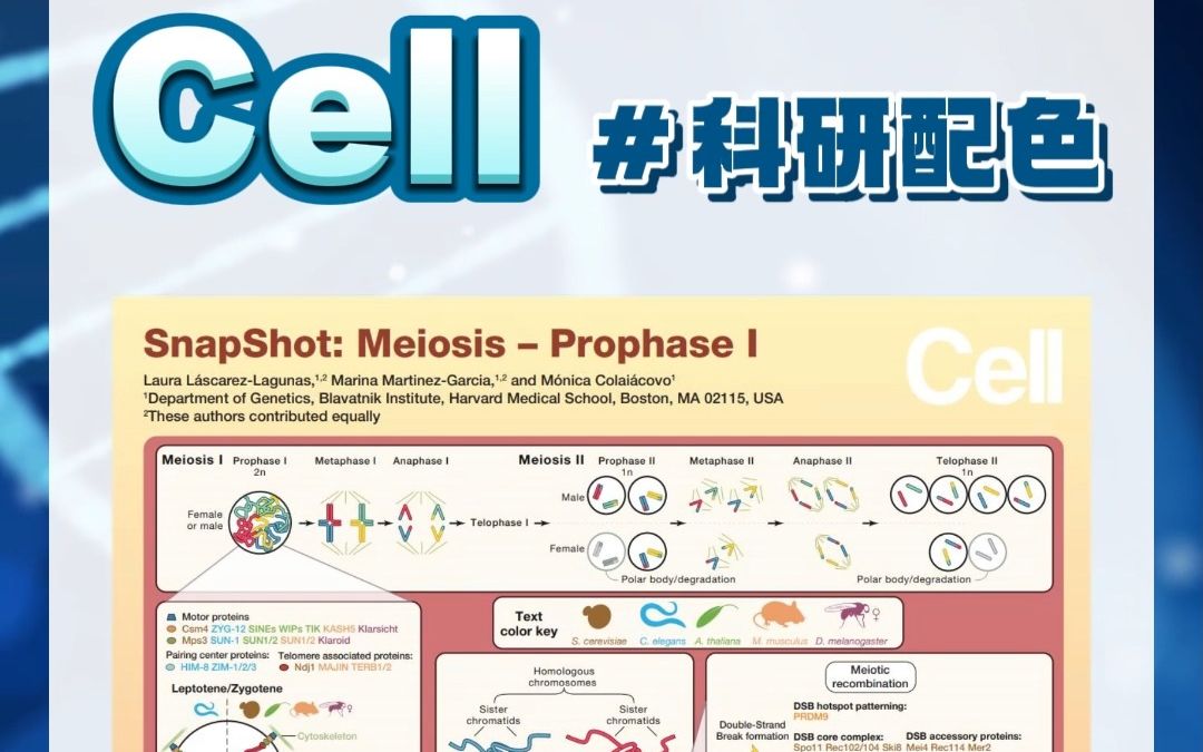 科研配色来啦!《Cell》期刊经典又好看的科研配色都有哪些?快快码住!科研配色千千万,不如一起学顶刊~哔哩哔哩bilibili