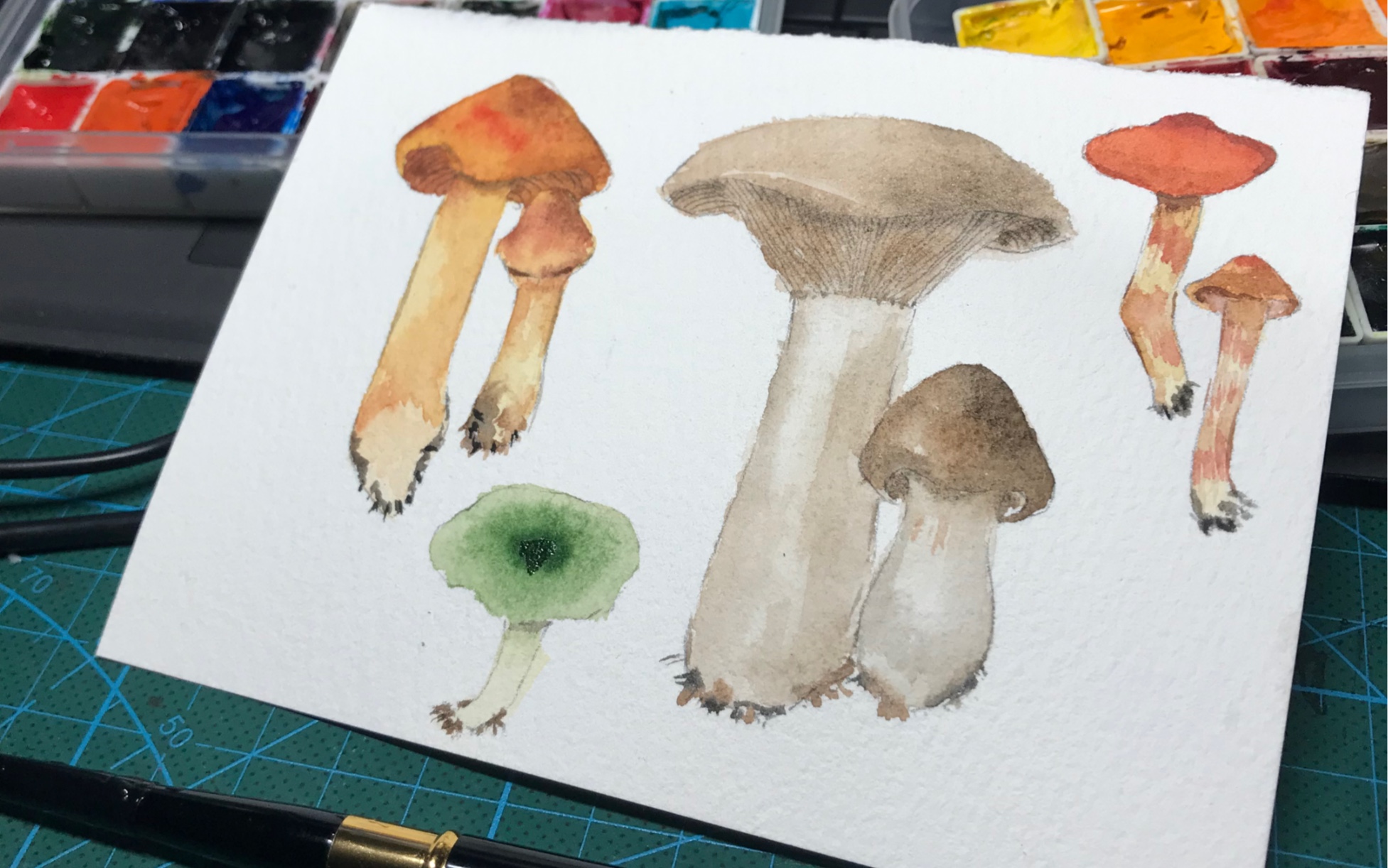 活动  渣渣日常水彩练习 香菇香菇