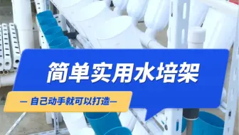简单点，努力点就能吃到自己种的蔬菜🥬。#新农人计划2022 #种菜 #水培