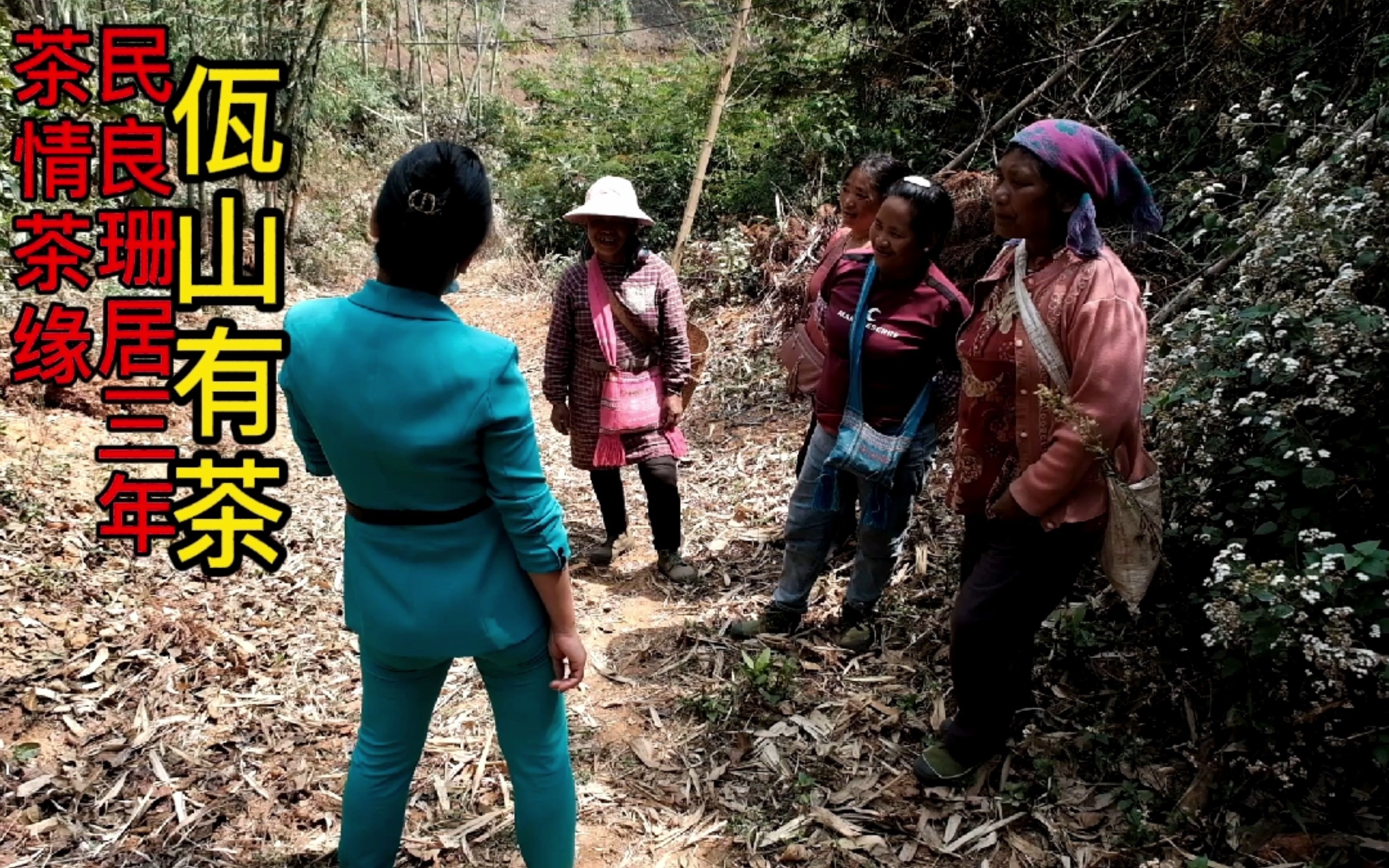 [图]民良珊居三年，佤山有茶，茶情茶缘