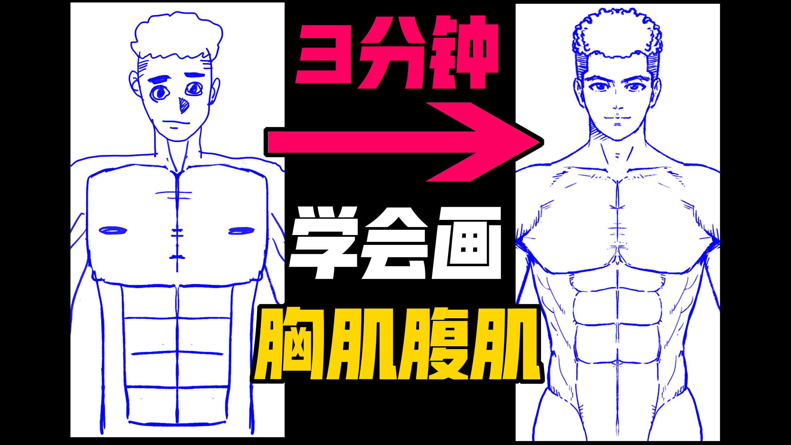 【变态级】简单的胸肌腹肌画法教程！