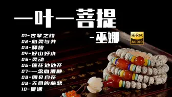 巫娜的古琴《一叶一菩提》，琴与箫，深远虚静，如沐春风~~