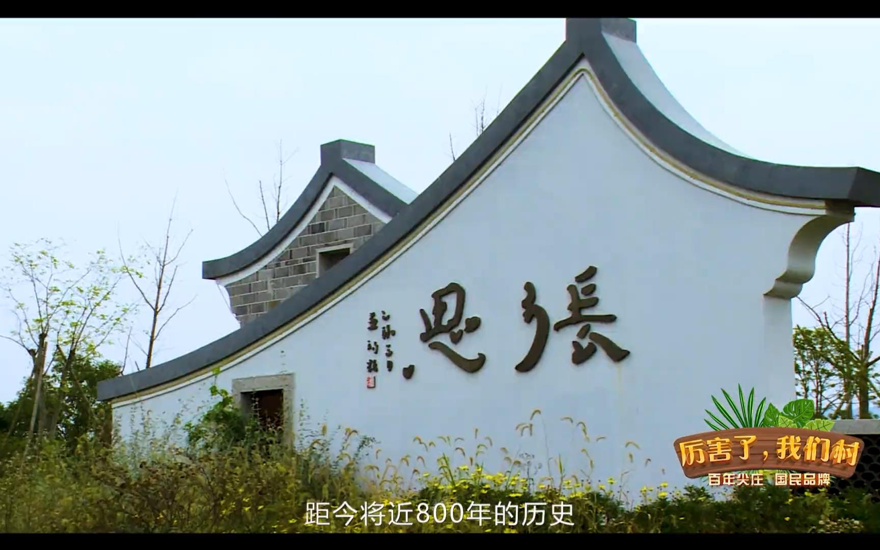 天台网红村张思村