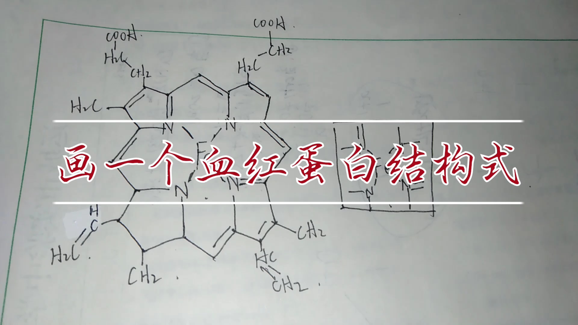 用KingDraw...画一个血红蛋白哔哩哔哩bilibili