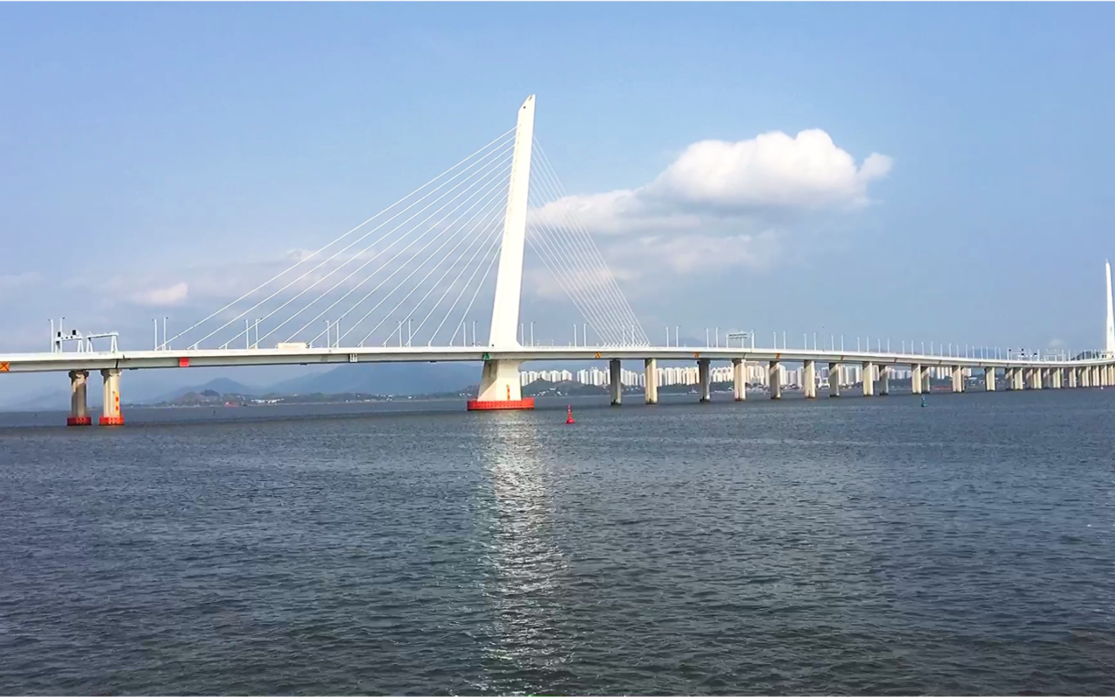 深圳湾公园之观桥看海