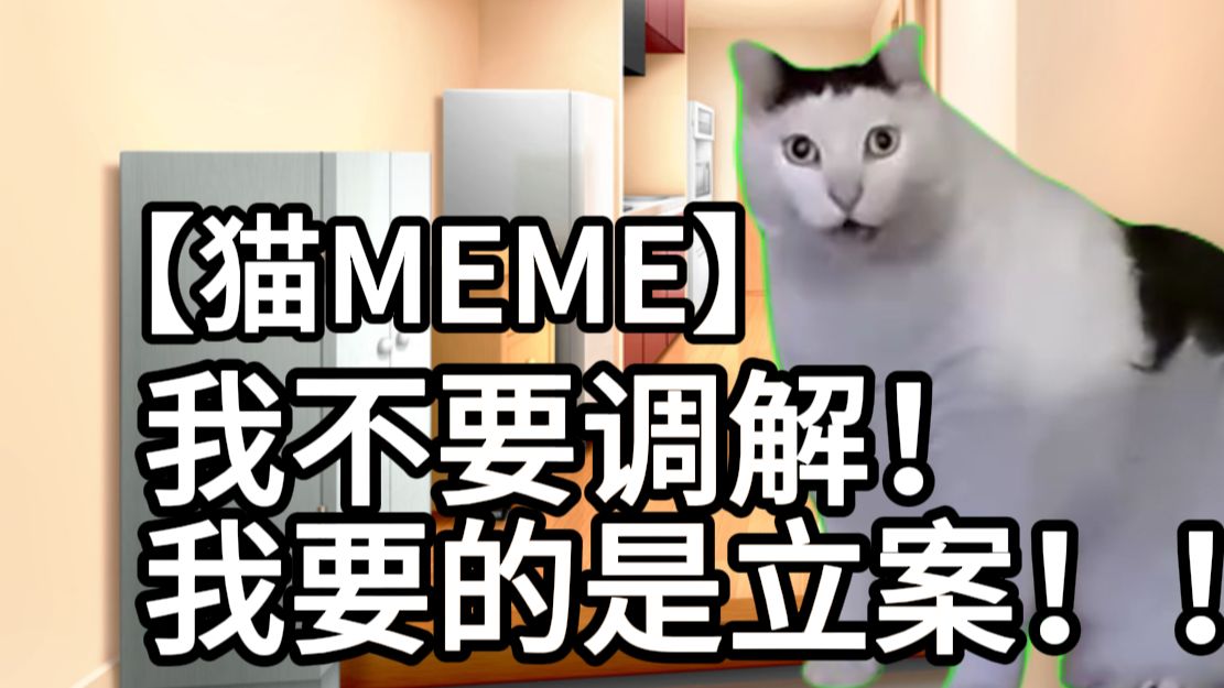 [图]【猫meme】和好朋友们组队去立案的故事