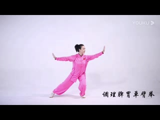 八段锦 北体大超清哔哩哔哩bilibili