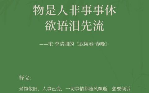 物是人非事事休