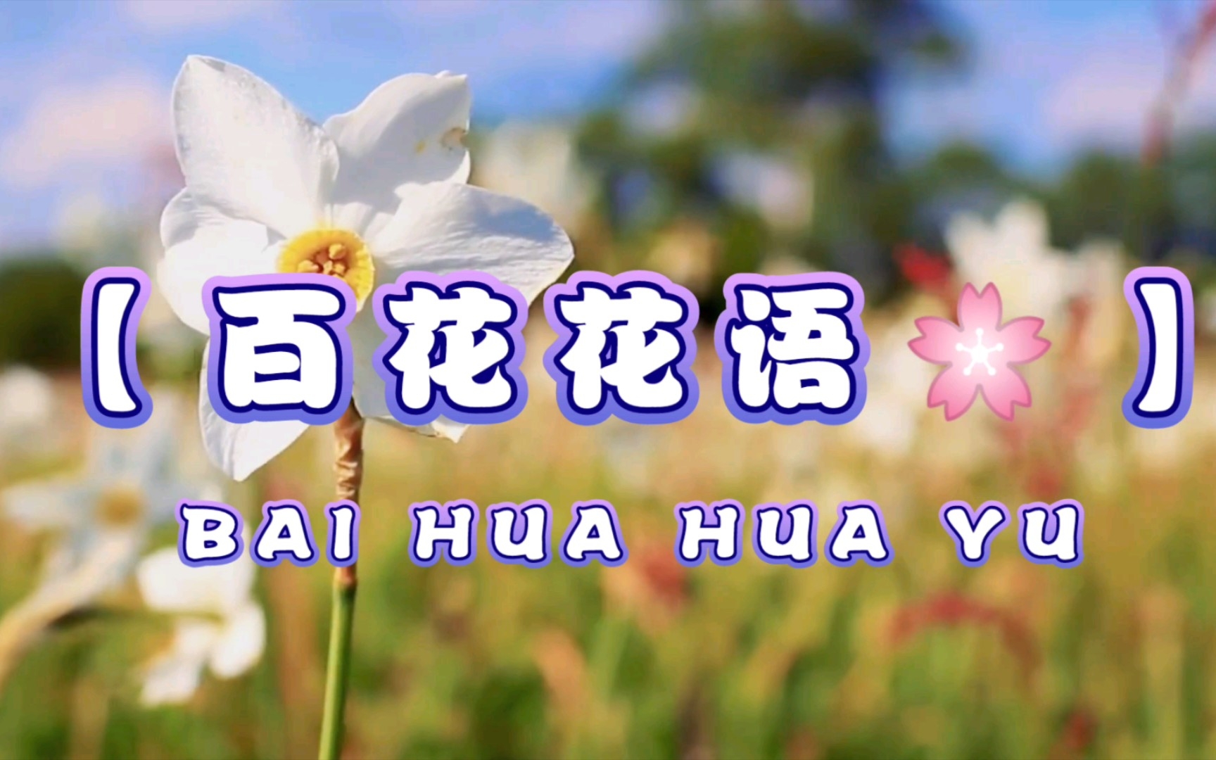 [图]百花花语:百合的花语——纯洁/神圣！