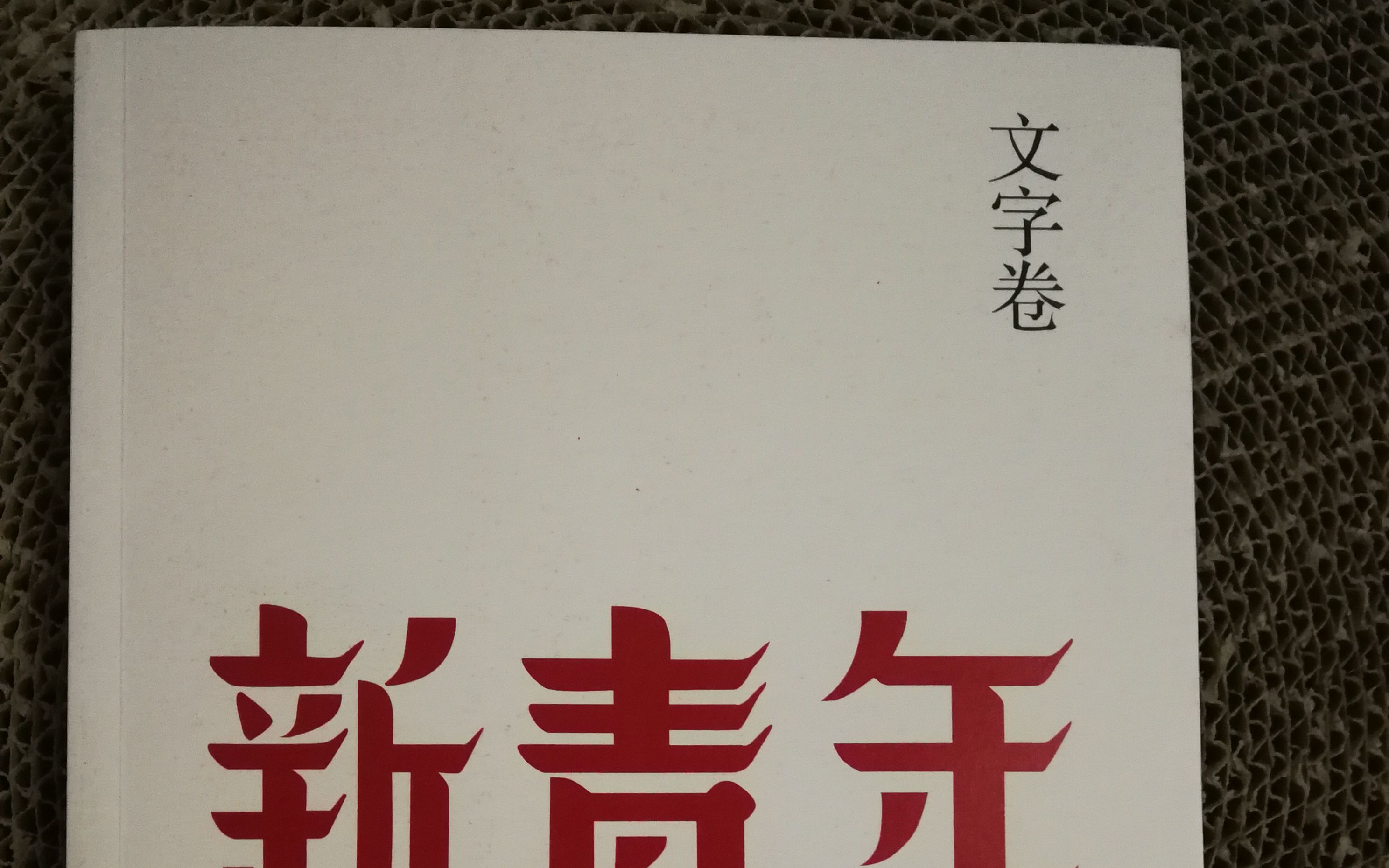 张宝明主编,《新青年ⷦ–‡字卷》读后感哔哩哔哩bilibili