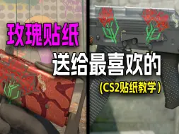 Download Video: 【CS2贴纸教学】给枪皮上添一束玫瑰花吧:)