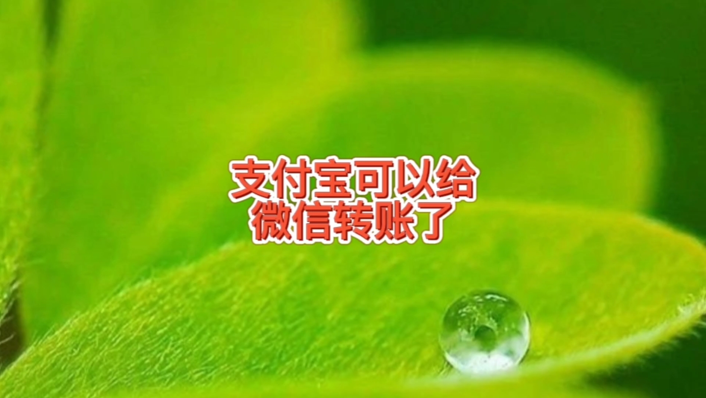 支付宝新功能可以给QQ微信好友转账,微信和支付宝免手续费提现方法,帮忙关注作者多评论,长按点赞收藏转发,只回复粉丝问题哔哩哔哩bilibili