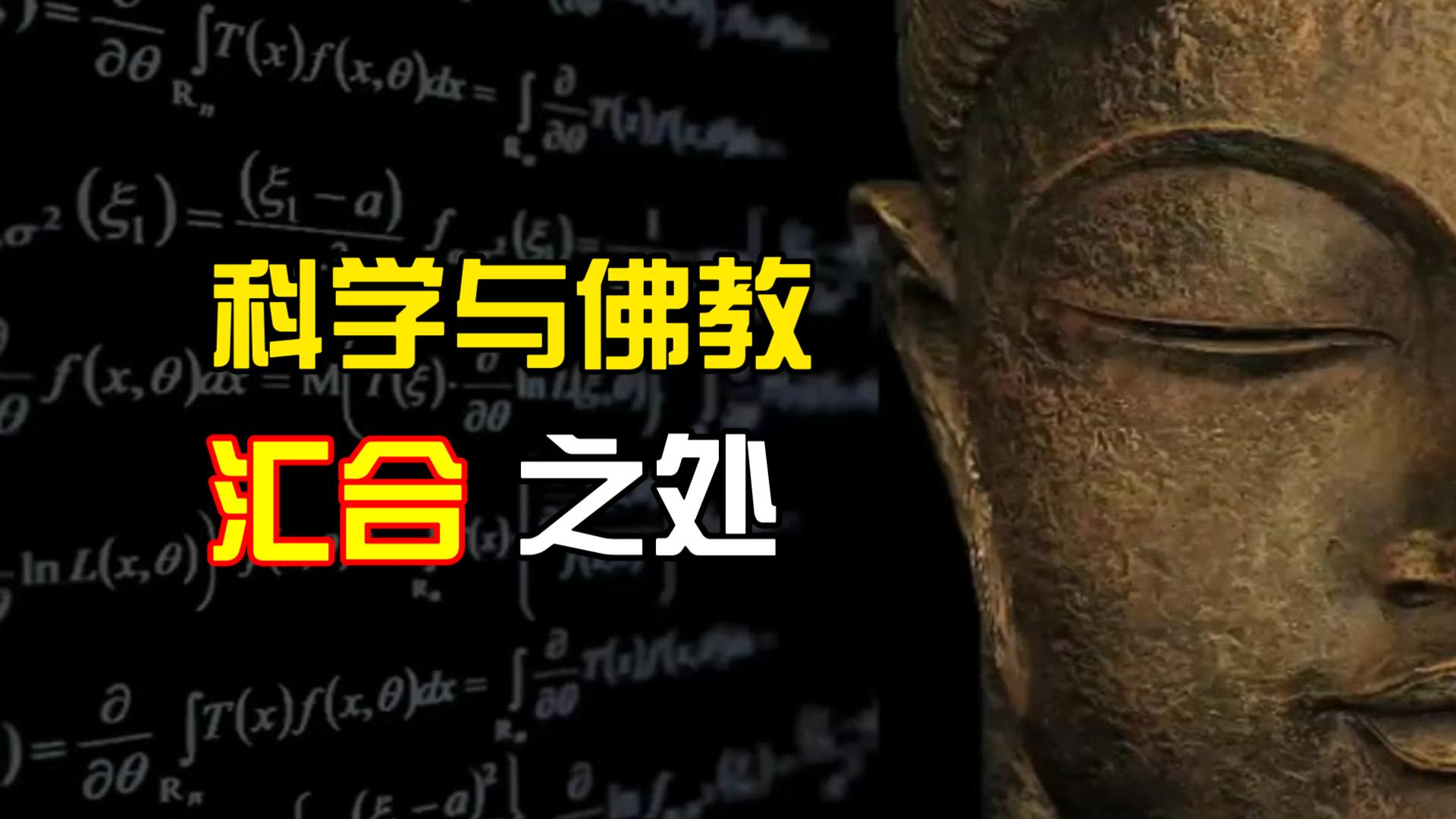 科学与佛教汇合之处 Where Science and Buddhism Meet哔哩哔哩bilibili