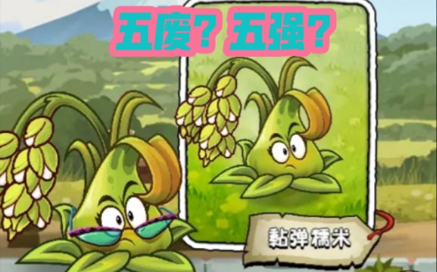 pvz植物测评糯米投手黏弹糯米15阶测评