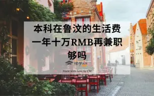 Download Video: 本科在鲁汶的生活费一年十万RMB再兼职够吗？