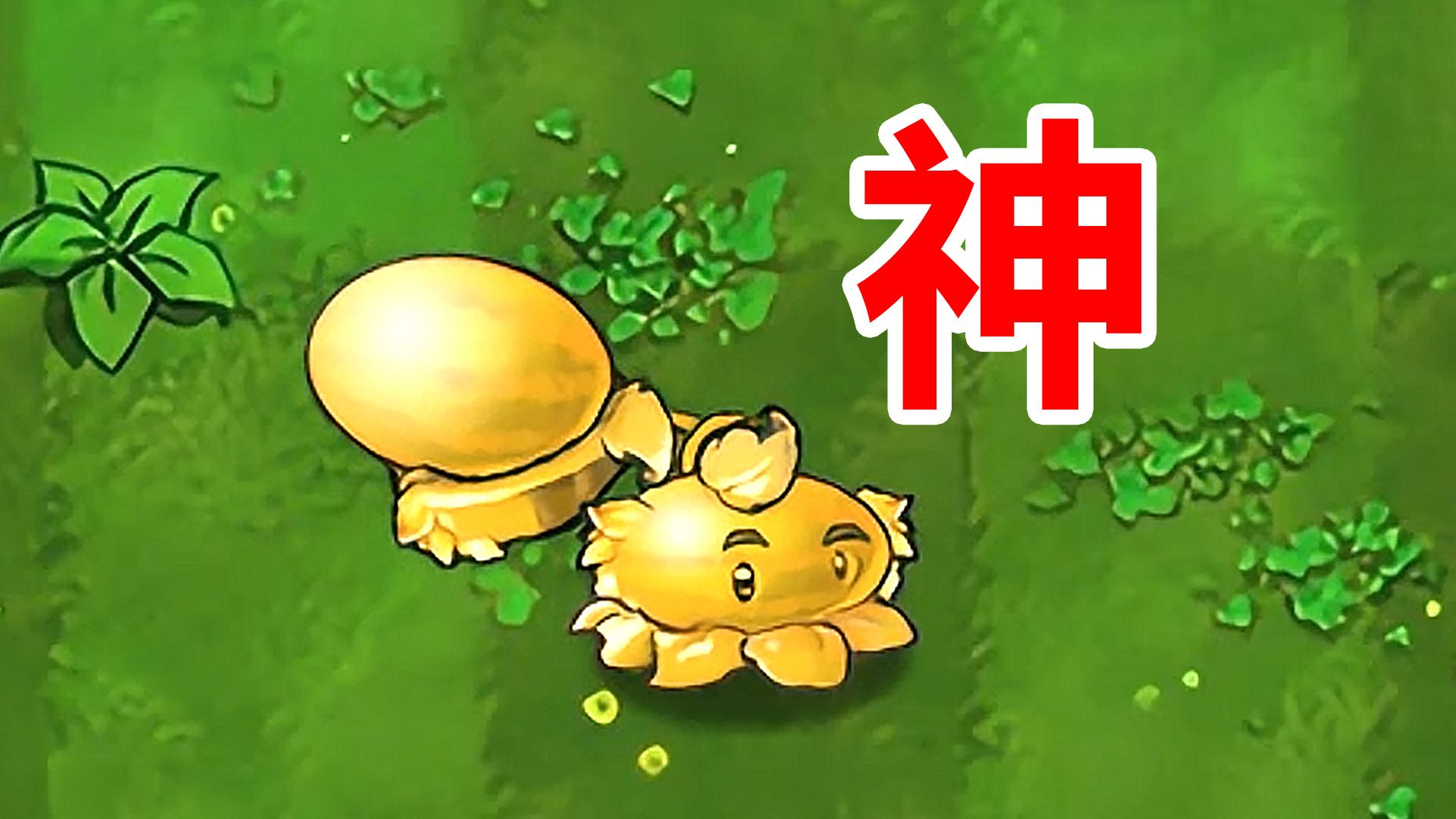 新植物黄金西瓜投手!还有比他更神的卡吗?