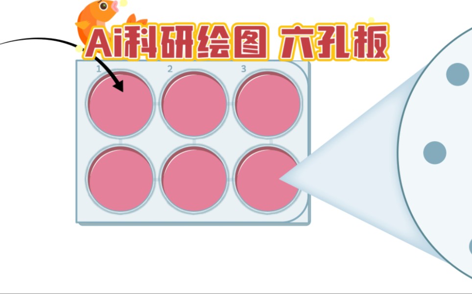 自学科研绘图6️⃣—六孔板-bili_61511705848-细胞-哔哩哔哩视频