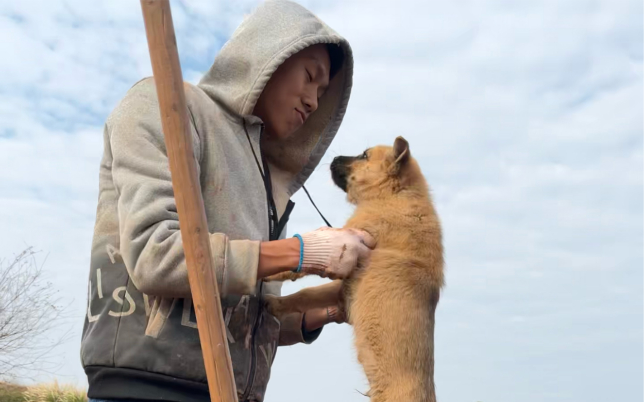 我的爱犬被我弟弟一脚踢到沟坎下面去了哔哩哔哩bilibili