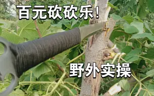 Télécharger la video: 129砍砍乐   🔥环首刀🔥  户外爆砍对掐小树