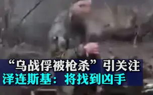 Télécharger la video: “乌克兰战俘被枪杀”视频疯传引发关注，泽连斯基发声：将找到凶手