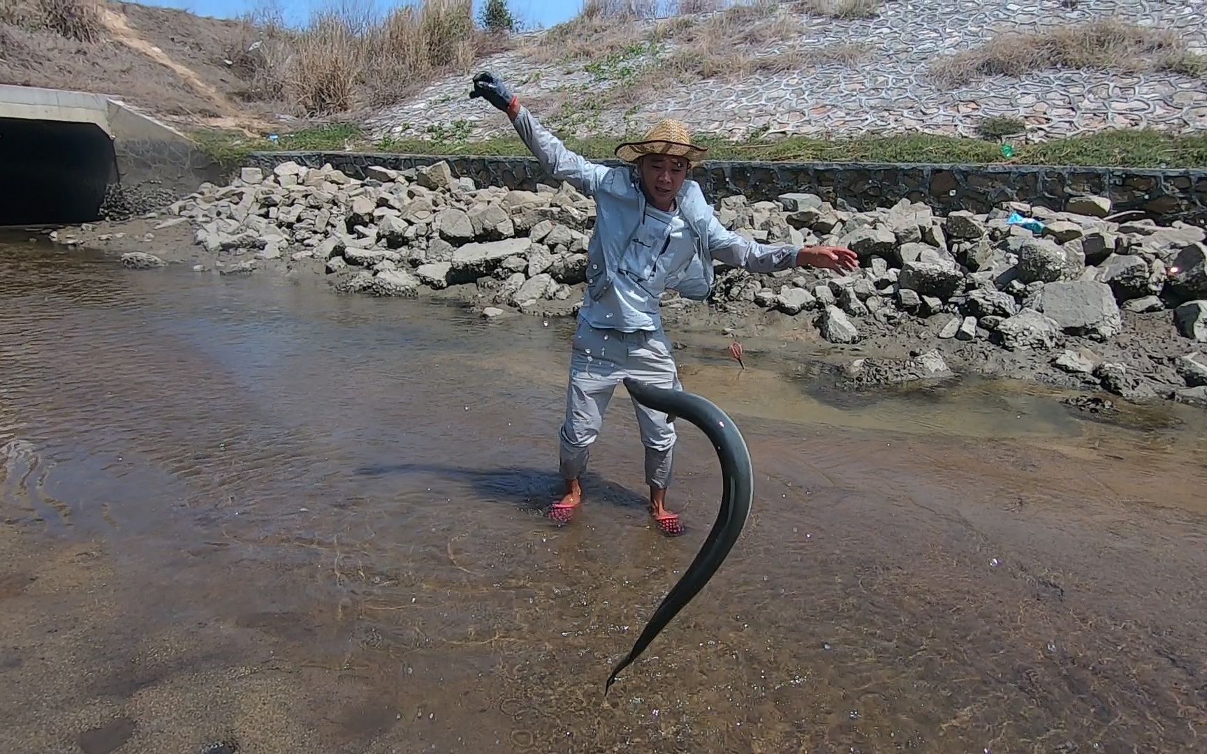 阿波赶海发现长满生蚝的排水口每天排水都会排出好东西赚大了