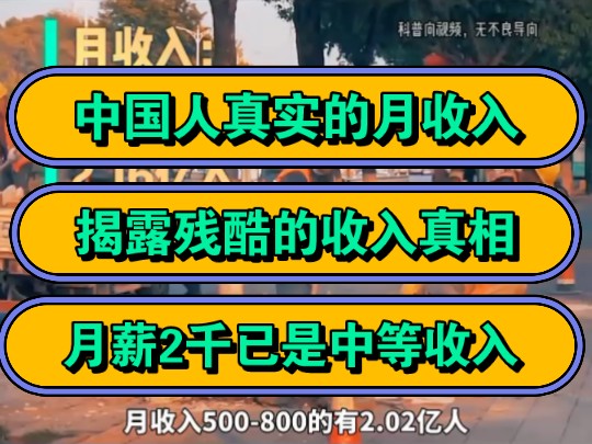 中国人真实的月收入吗?揭露残酷的真相,月薪2千已是中等收入!哔哩哔哩bilibili