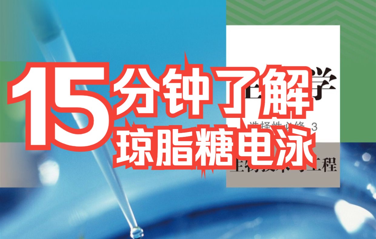 [图]【选择性必修3】3.2-4完琼脂糖凝胶电泳PCR习题选修3生物技术与工程人教版统编教材高中生物学2020新课改新课标新高考理综