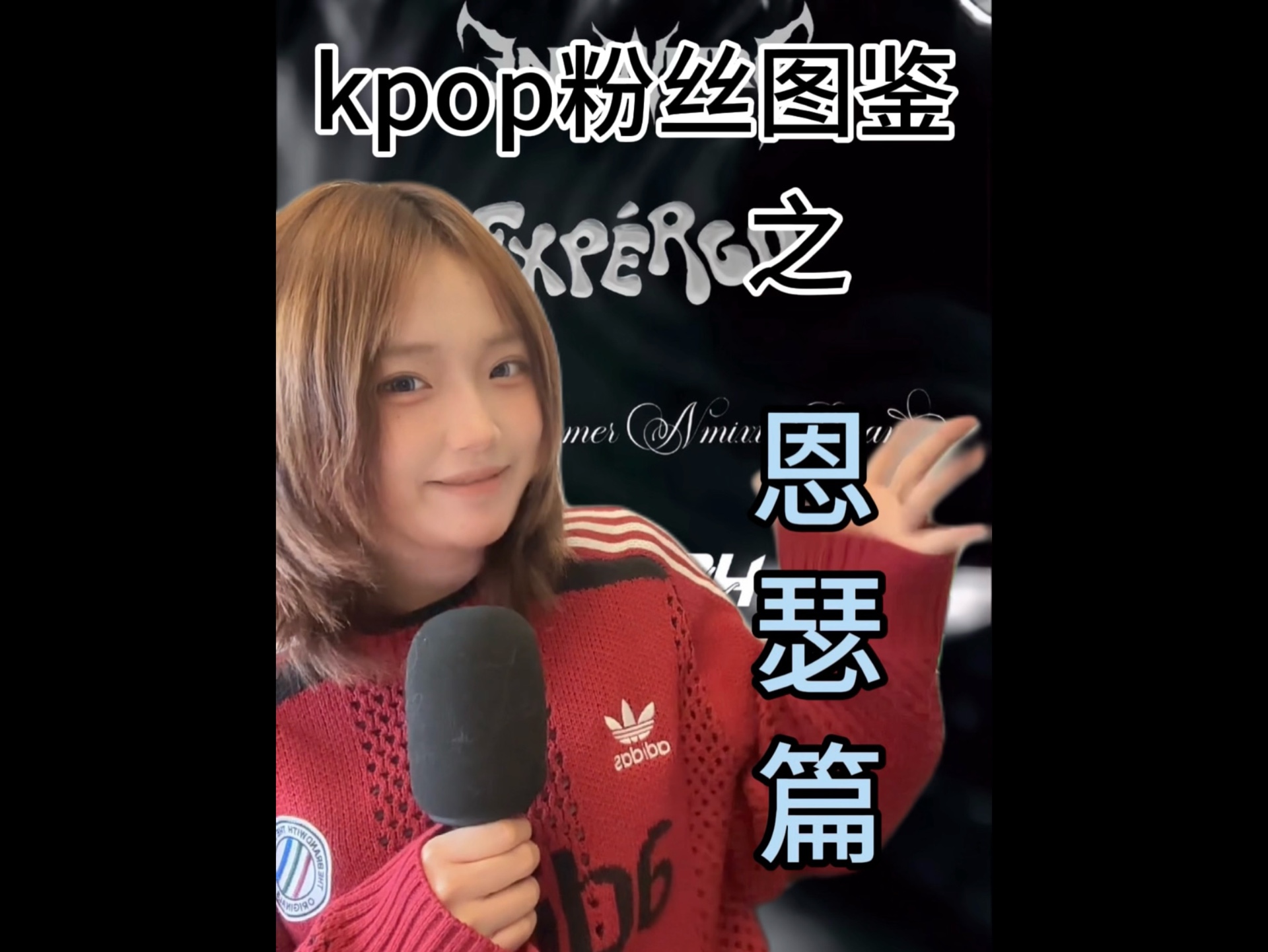 KPOP粉丝图鉴之恩瑟篇哔哩哔哩bilibili