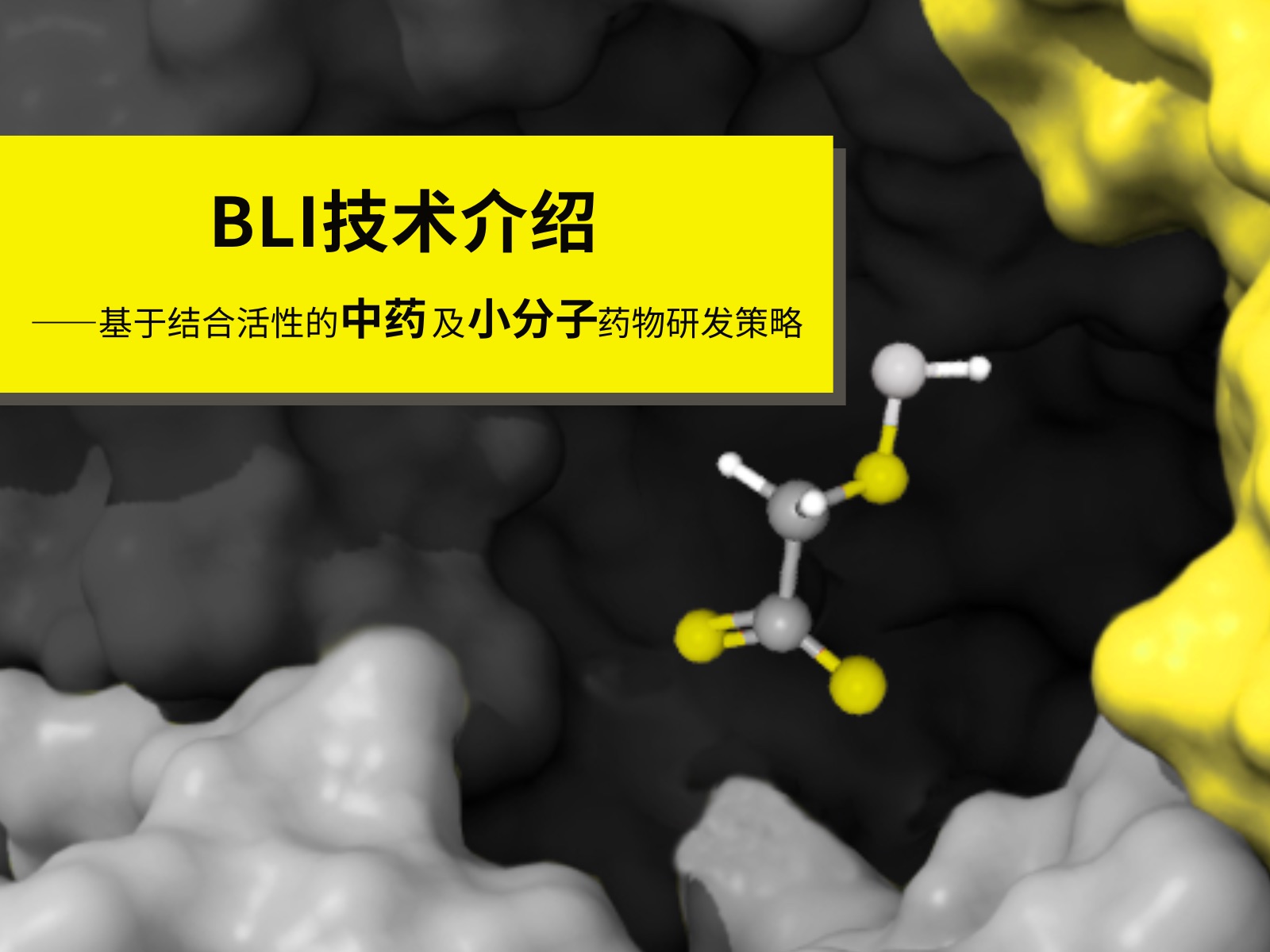 与其他小分子互作方法相比,BLI技术有什么优势?哔哩哔哩bilibili